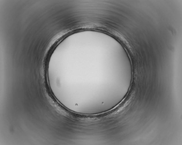 X0000111011122200907060950