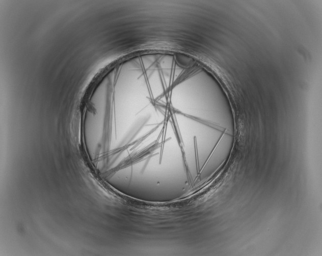 X0000111011123200907060950
