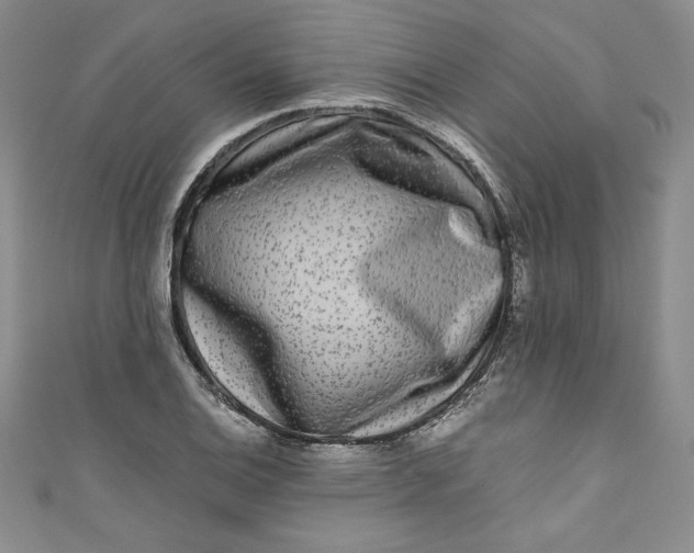 X0000111011124200907060950