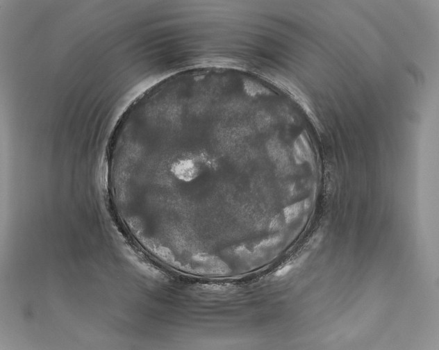 X0000111011125200907060950
