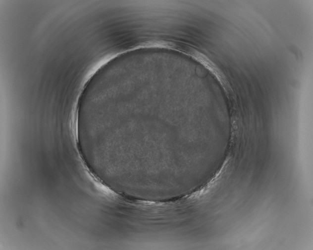 X0000111011127200907060950