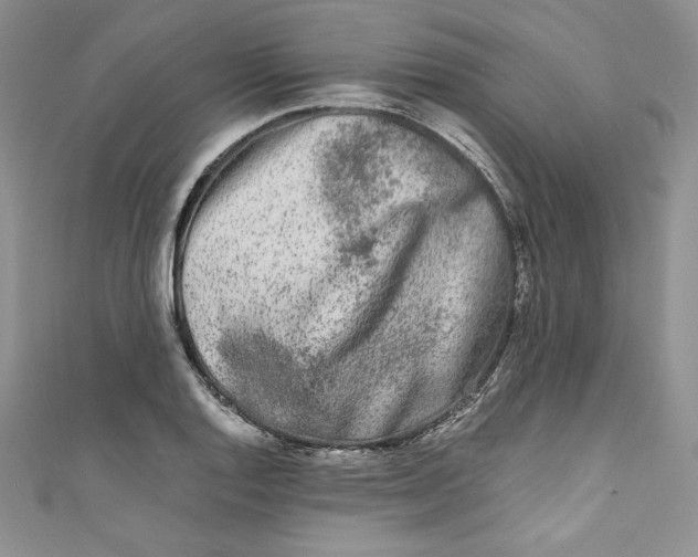 X0000111011128200907060950