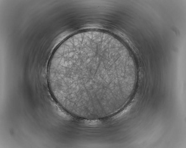X0000111011129200907060950