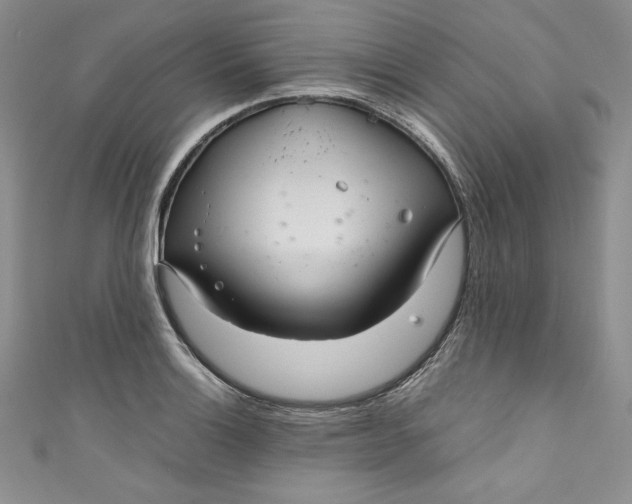 X0000111011132200907060950