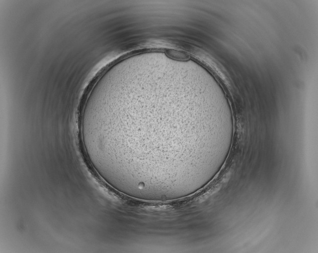 X0000111011133200907060950