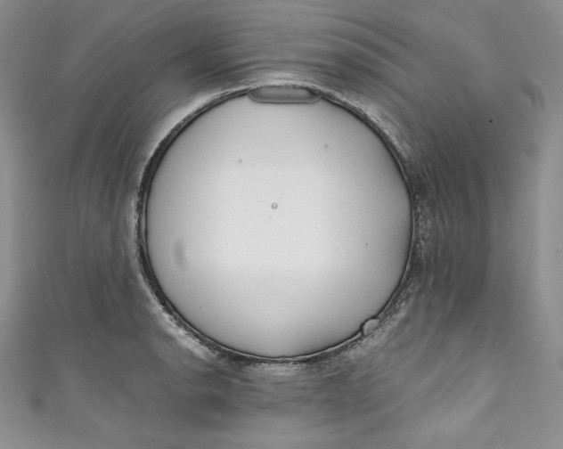 X0000111011134200907060950