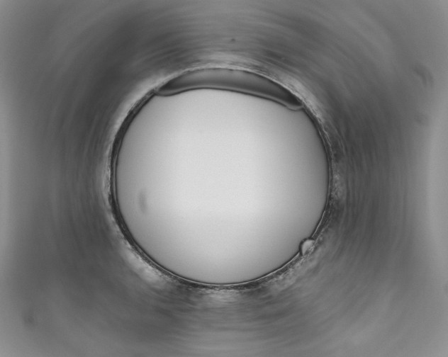 X0000111011136200907060950
