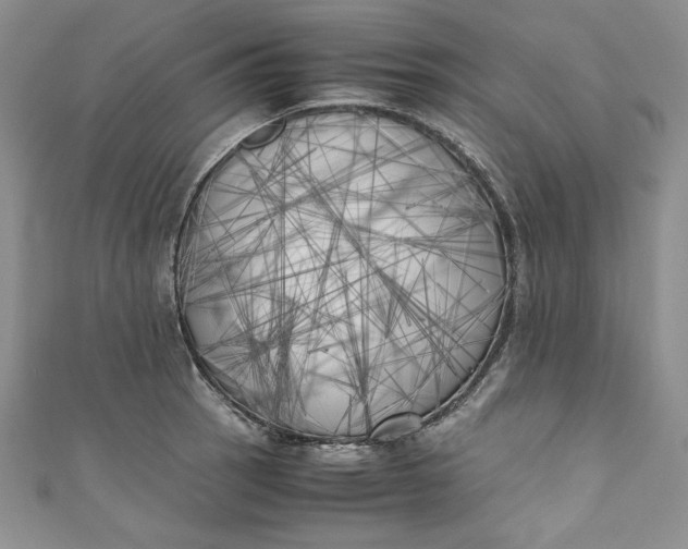 X0000111011137200907060950