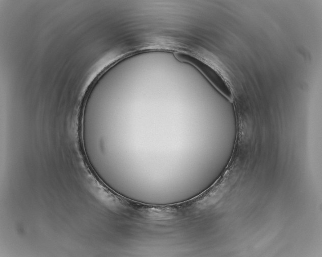 X0000111011138200907060950
