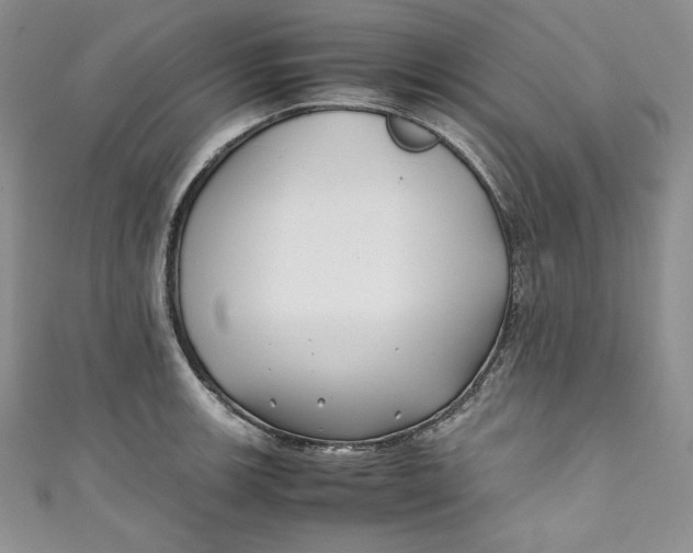 X0000111011139200907060950
