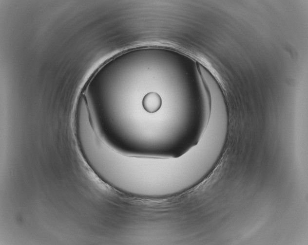 X0000111011140200907060950