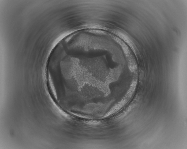 X0000111011141200907060950