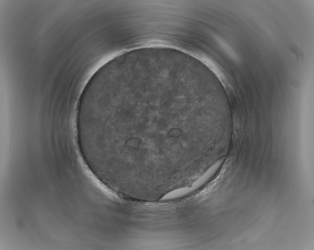 X0000111011142200907060950