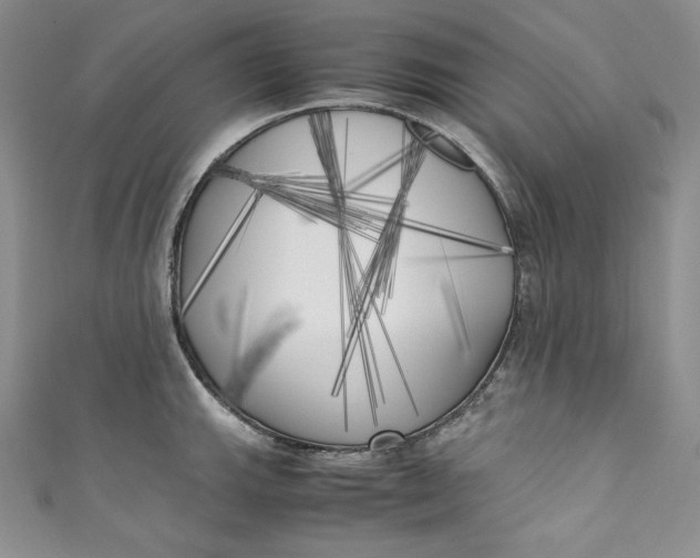 X0000111011143200907060950