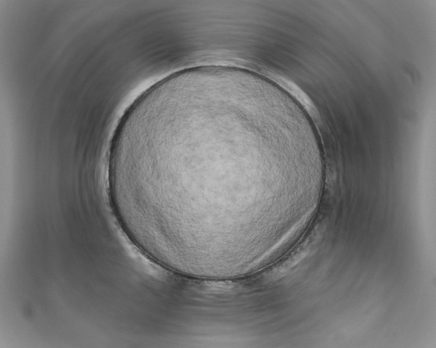 X0000111011144200907060950