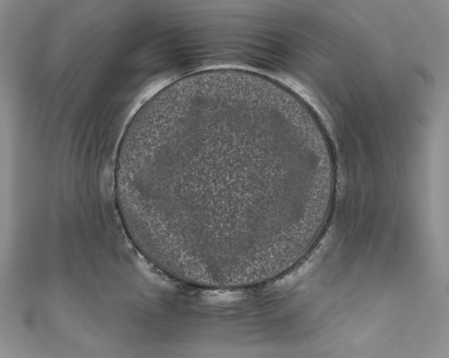 X0000111011145200907060950