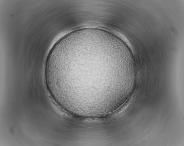 X0000111011146200907060950