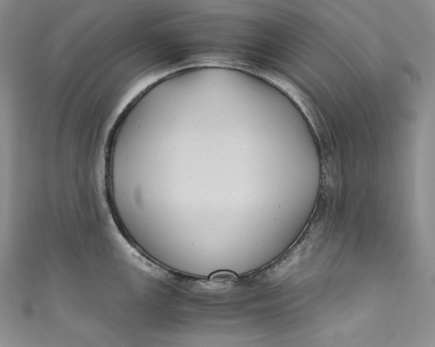 X0000111011147200907060950