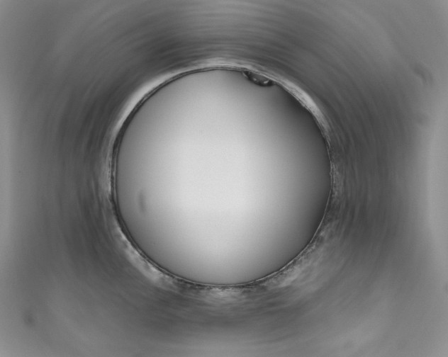 X0000111011148200907060950