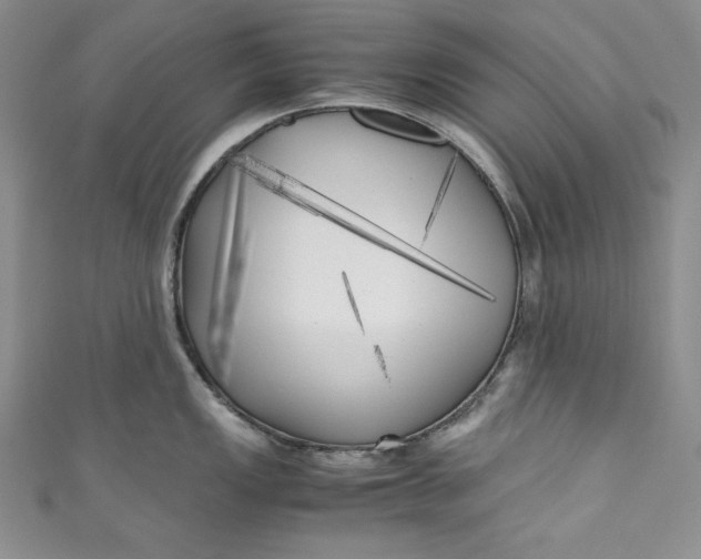 X0000111011149200907060950
