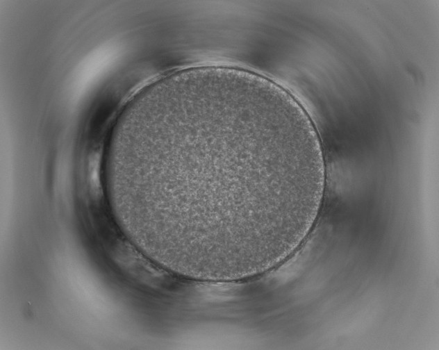 X0000111011150200907060950