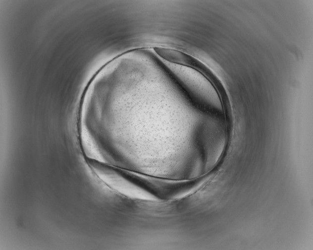 X0000111011152200907060950