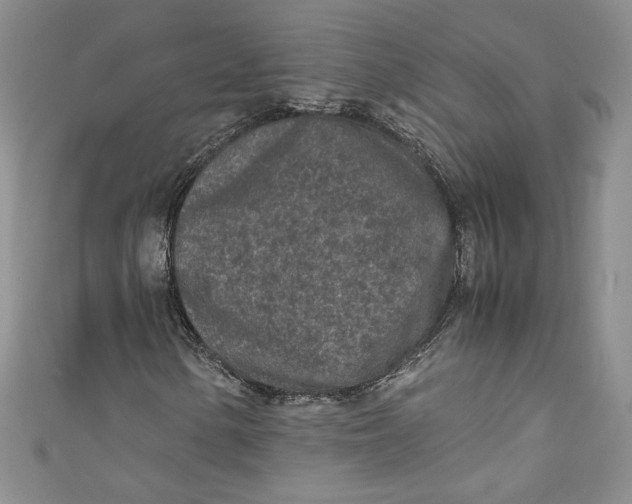 X0000111011154200907060949