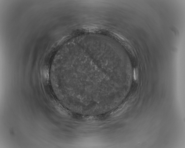X0000111011155200907060949