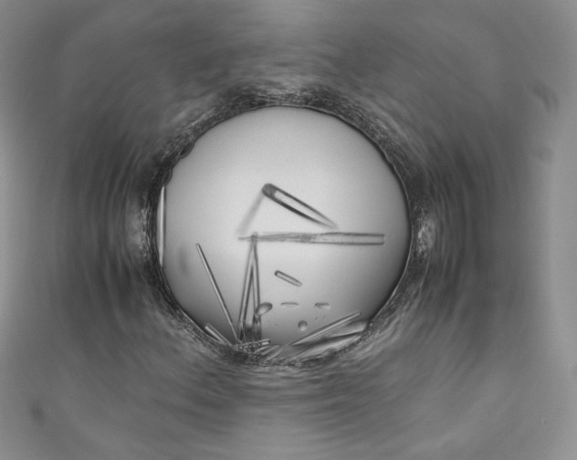 X0000111011156200907060949
