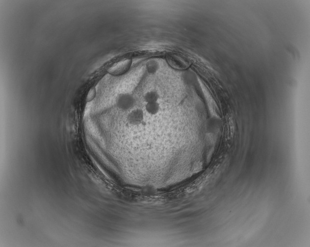 X0000111011158200907060949