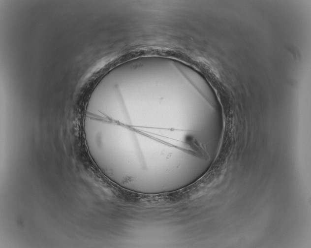 X0000111011159200907060949