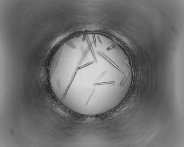 X0000111011160200907060949