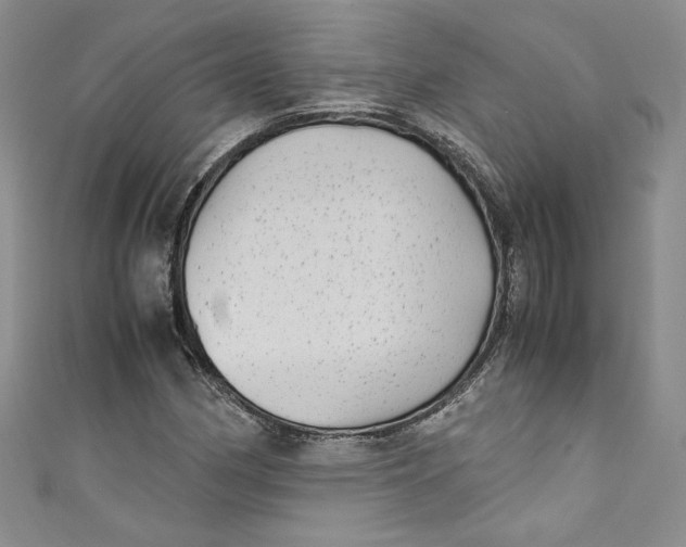 X0000111011162200907060949