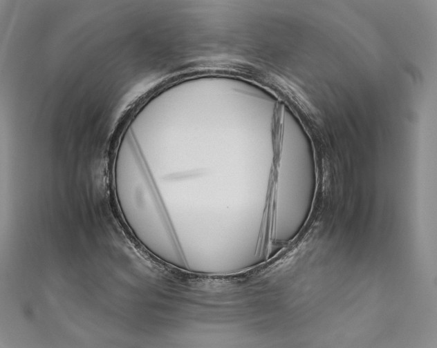 X0000111011164200907060949