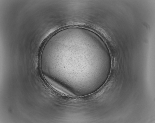 X0000111011165200907060949