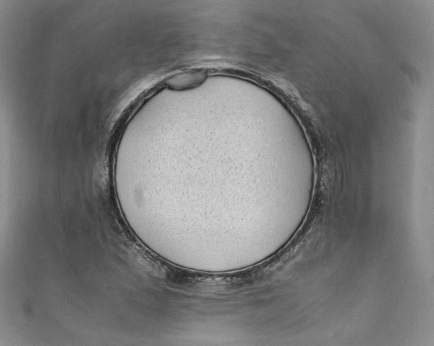 X0000111011167200907060949