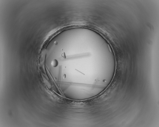 X0000111011168200907060949
