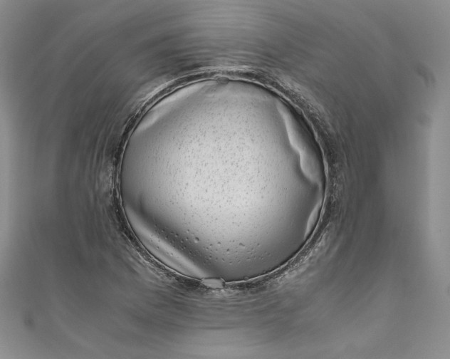 X0000111011169200907060949