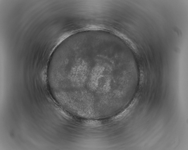 X0000111011170200907060949