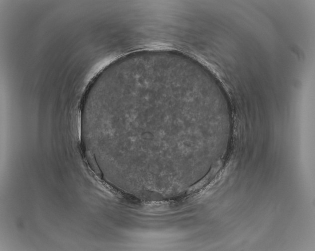 X0000111011171200907060949