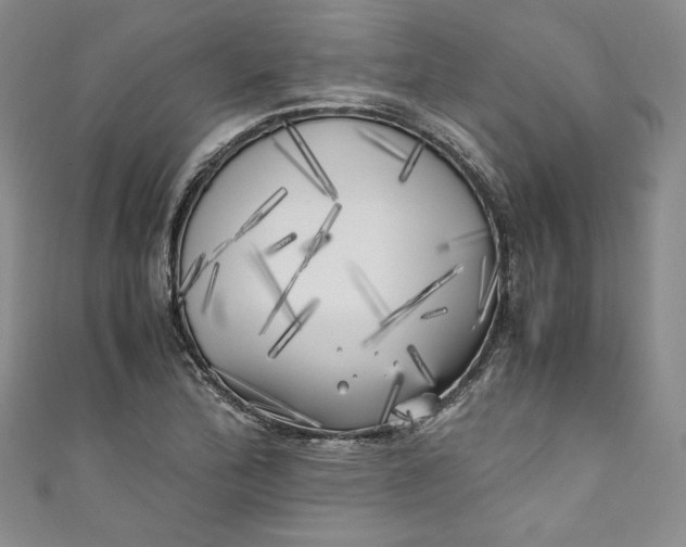 X0000111011172200907060949