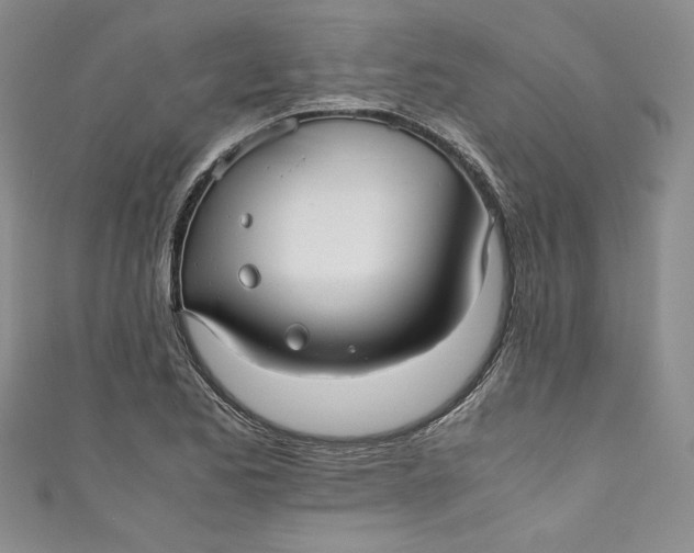 X0000111011173200907060949