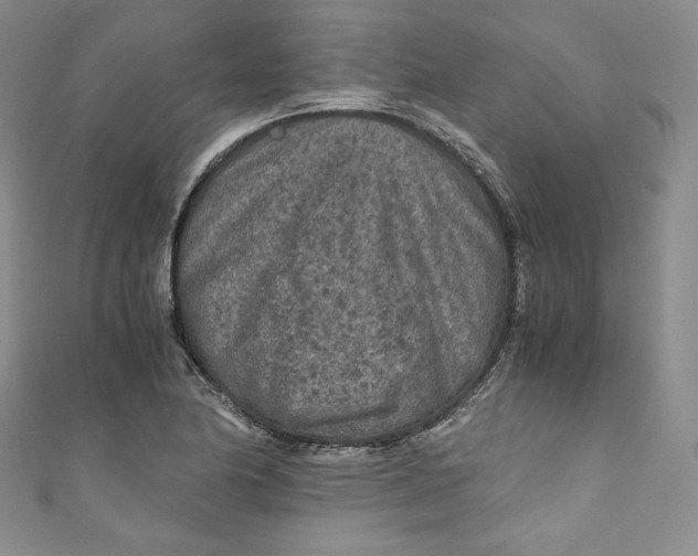 X0000111011174200907060949