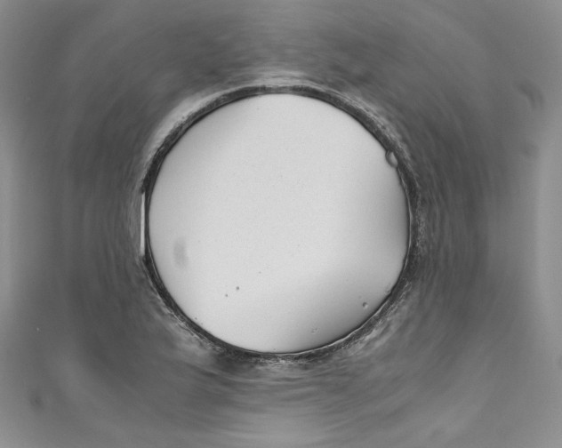 X0000111011175200907060949