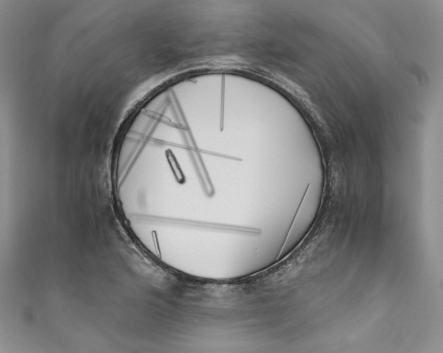 X0000111011176200907060949