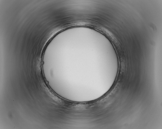 X0000111011178200907060949
