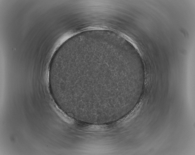 X0000111011179200907060949