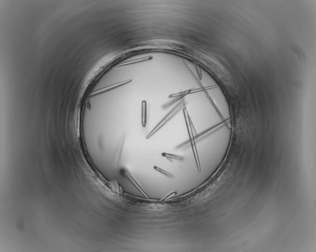 X0000111011180200907060949