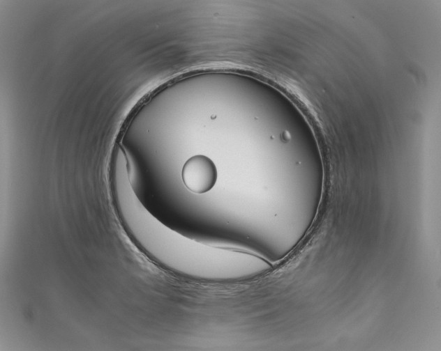 X0000111011181200907060949