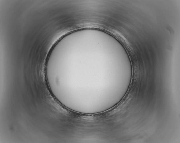 X0000111011182200907060949